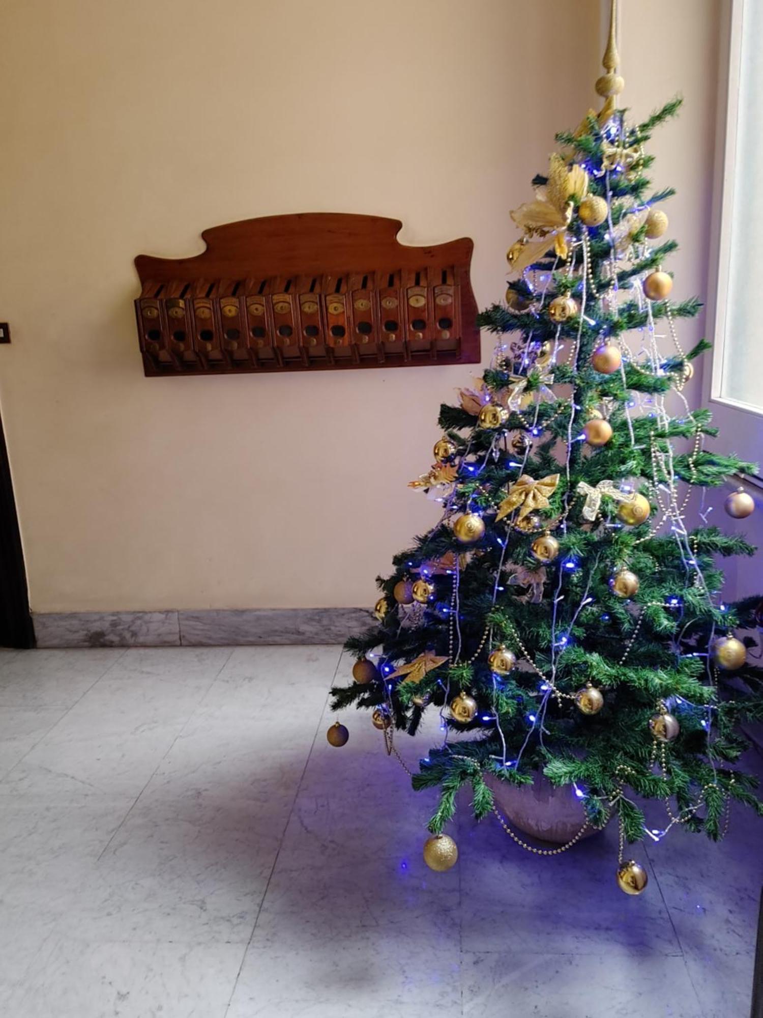 Studio Flat Trastevere Rome Bagian luar foto