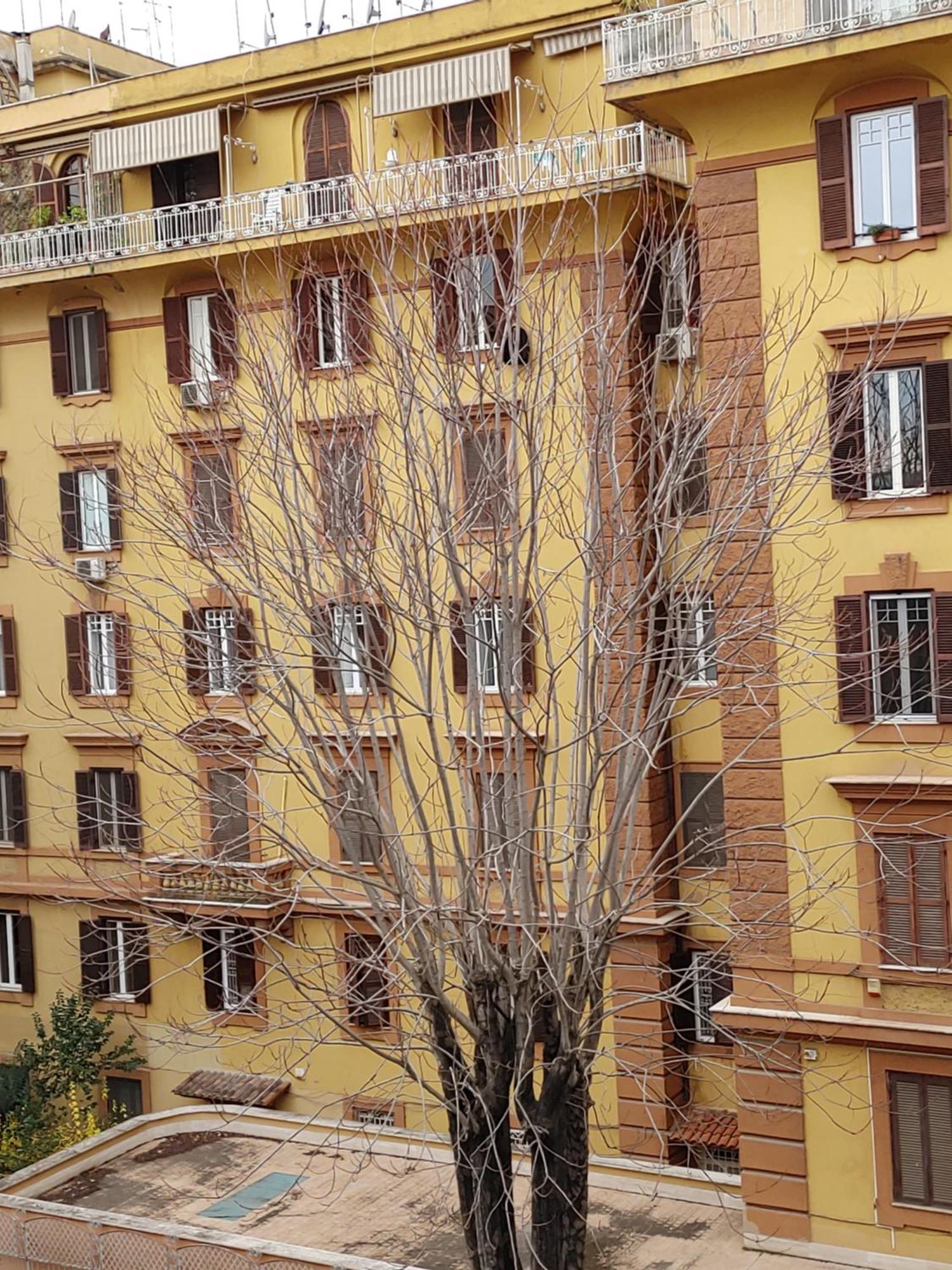 Studio Flat Trastevere Rome Bagian luar foto